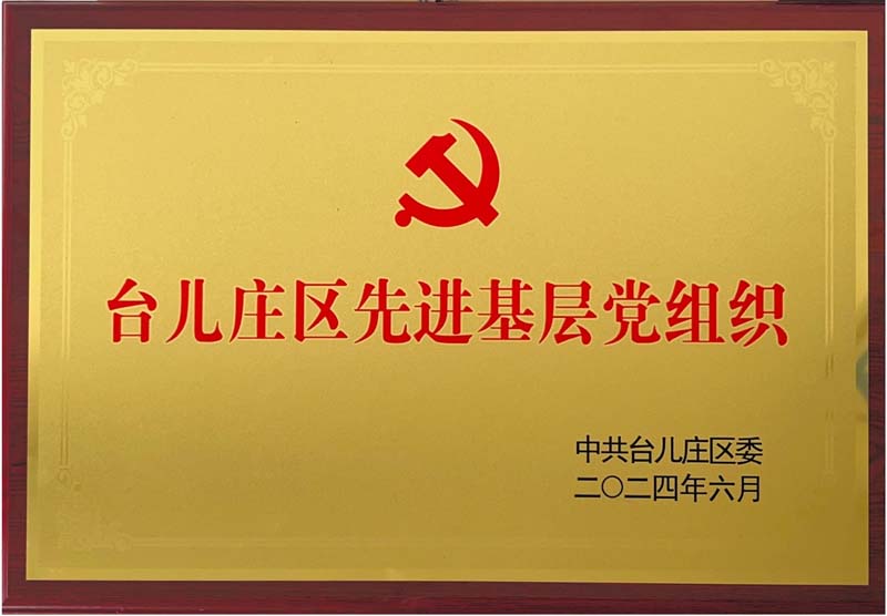 棗莊創(chuàng)新公司黨支部獲臺兒莊區(qū)“先進基層黨組織”稱號