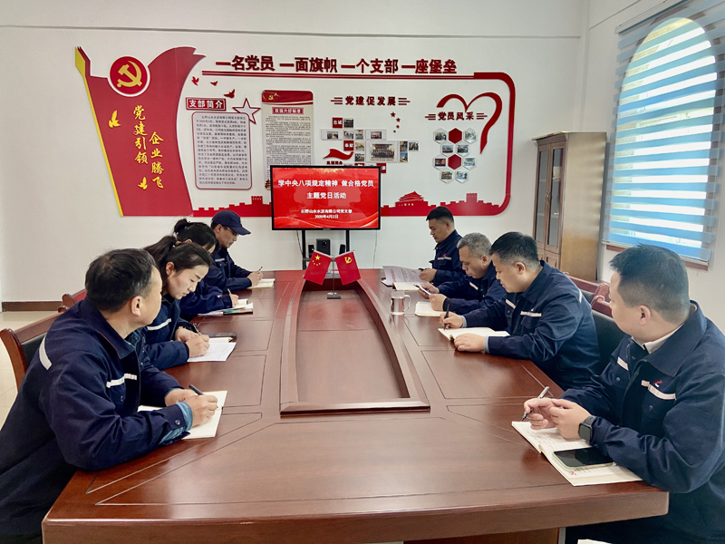 巨野公司黨支部開展“學(xué)中央八項規(guī)定精神 做合格黨員”主題黨日活動照片