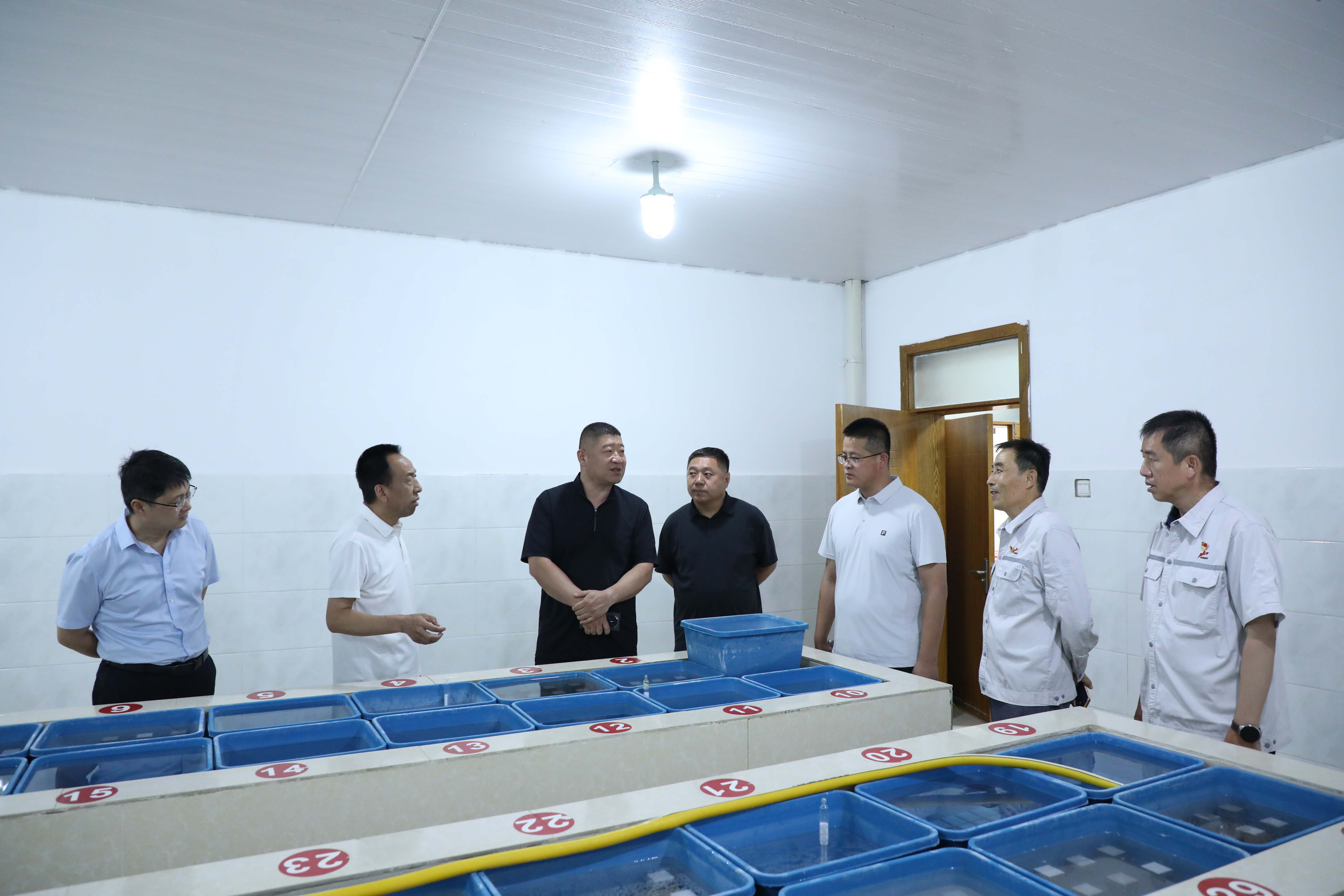 喀什地區(qū)招商局黨組成員、副局長逄子劍一行到疏勒公司調(diào)研 (1)